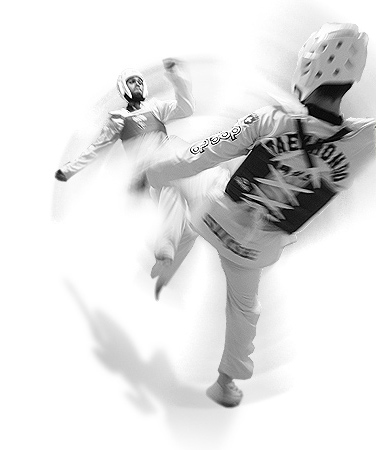 Le Taekwondo